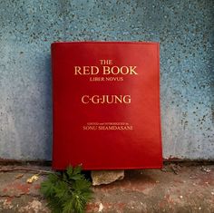 a red book sitting on the ground next to a cement wall with plants growing out of it