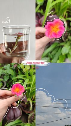 two pictures with flowers in them and one is holding a glass cup filled with water