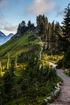 a trail winds through the trees on a mountain side