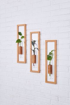 three wooden frames with plants in them hanging on a white brick wall next to each other