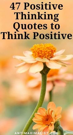 an orange flower with the words, 47 positive thinking quotes to think positve