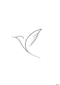 a drawing of a bird flying in the sky