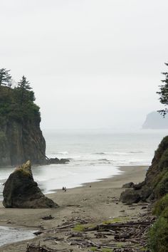 two people are walking on the beach near some rocks and trees in the distance,