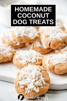 homemade coconut dog treats on a plate with text overlay that reads homemade coconut dog treats