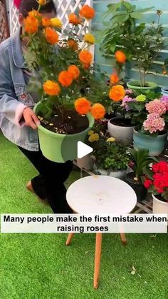 a woman kneeling down in front of potted flowers with the caption, many people make the first mistake when raising roses