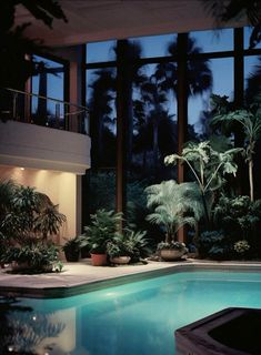 an indoor swimming pool surrounded by trees and plants at night with large windows on the side