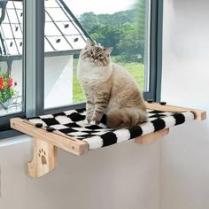 a cat sitting on top of a window sill