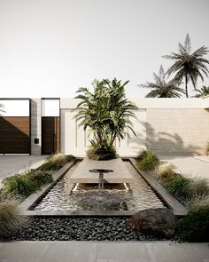 an outdoor garden with a fountain and palm trees