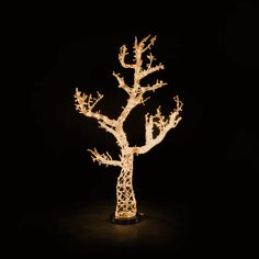 a lighted tree in the dark with its branches still attached to it's base