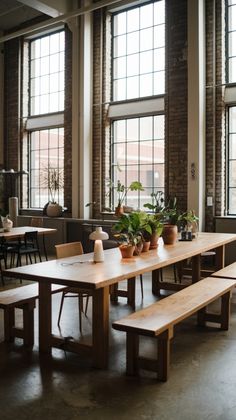 a long table with two benches in front of large windows and potted plants on each side