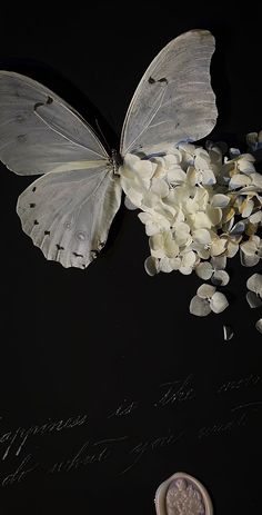 a white butterfly sitting on top of a pile of flowers next to a small piece of writing