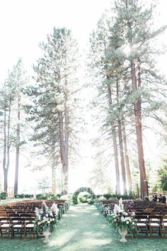 an outdoor ceremony setup with wooden chairs and greenery in the foreground, surrounded by tall pine trees