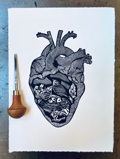 a drawing of a human heart on white paper with a wooden pen next to it