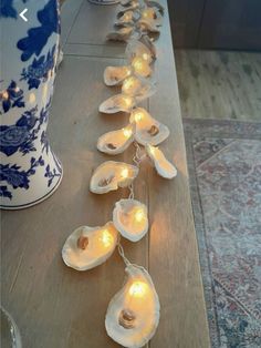 sea shells are lined up on a table with lights strung down the length of them