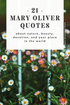 flowers with the words 21 mary olver quotes about nature, beauty, devition and your place in the world