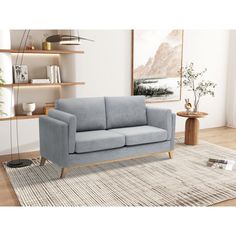 a blue couch sitting on top of a rug next to a wooden shelf filled with books