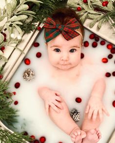 a baby in a bath surrounded by greenery and red berries with a bow on it's head