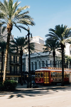 a trolley car is parked on the street in front of some palm trees and buildings