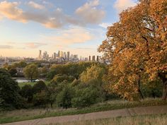 the city skyline is seen in the distance, with trees and grass on either side