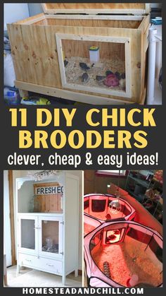 the diy chicken coop is an easy and cheap way to keep your chickens cool