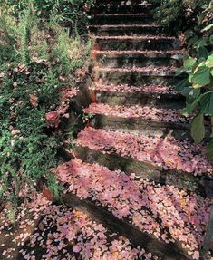 the steps are covered with pink flowers and greenery