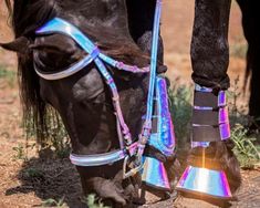 a close up of a horse's legs and boots