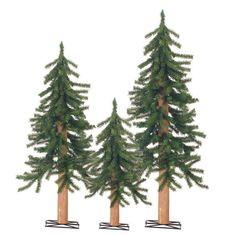 three tall pine trees are standing next to each other in front of a white background