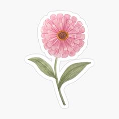 @viktorija_dun on Instagram | Artist | Illustrator | #sticker #pink #floral #zinia #botanical #flower #painting #watercolour Zinnia Flowers, Happy Stickers, Pinturas Disney, Floral Stickers, Background Vintage, Room Posters, Pics Art, Scrapbook Stickers