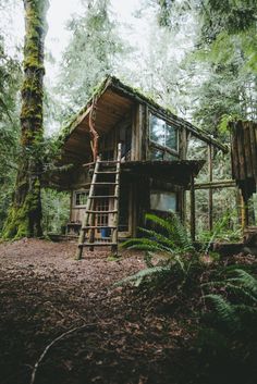 a tree house in the woods with stairs leading up to it's upper level