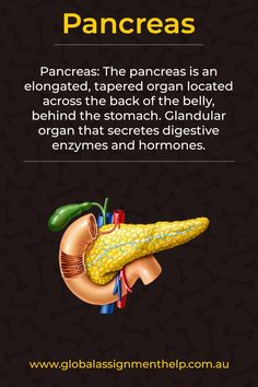 the diagram shows how pancreas are made