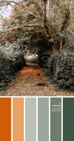 the color palette is orange, green, and grey with some brown leaves on the ground