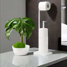 a bathroom sink with a plant and toilet paper