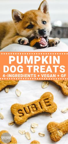 pumpkin dog treats are the perfect treat for dogs to eat on halloween or any fall day