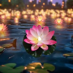 a pink flower floating on top of a lake filled with water lilies at night