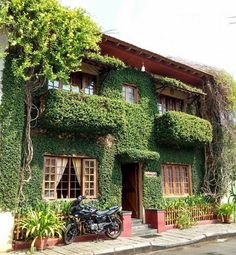 a motorcycle is parked in front of a house covered with vines and ivys on the side of the street