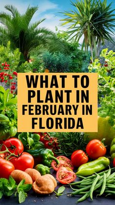 Get ready to grow your garden in Florida! Find out what to plant in February and learn how to make the most of Sunshine State's mild winter weather. Save this pin for a springtime gardening boost - you'll be glad you did next season! Gardening In Florida Panhandle, Florida Panhandle Gardening, South Florida Vegetable Gardening, Gardening In Florida For Beginners, Florida Garden Design, Florida Gardens Landscaping, What To Plant In February