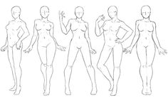 a line drawing of different female body shapes