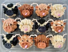 cupcakes decorated with different types of farm animals in plastic tray on table top