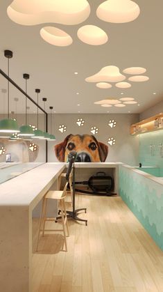 a dog is peeking out from behind a counter in a store with lights on the ceiling