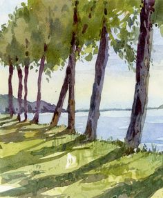 watercolor painting of trees by the lake