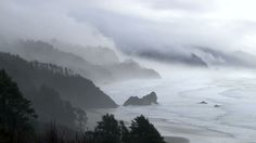 the ocean is covered in fog and low lying trees