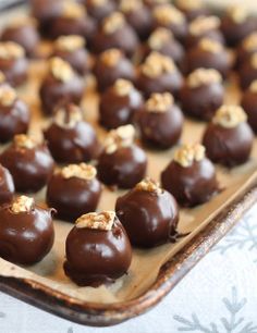 there are many chocolates on the tray ready to be eaten