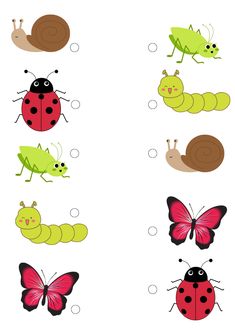 an insect and butterfly matching game for children to learn how to find the correct one