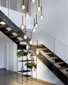 a bunch of lights hanging from the side of a stair case next to a potted plant