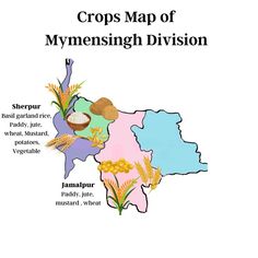 the cover of crops map of mymensingh division, showing different types of crops