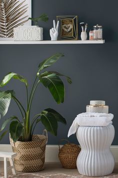 two potted plants sit next to each other in front of a shelf with pictures on it