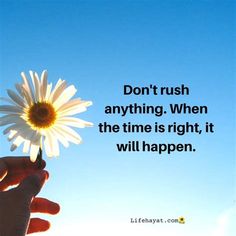 a person holding a flower with the quote don't rush anything when the time is right, it will happen