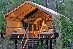 a tent is set up in the woods with stairs leading to it and lights on