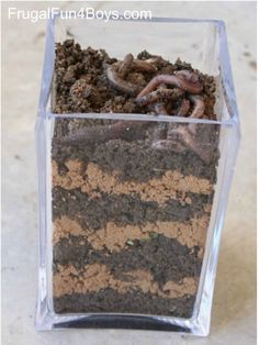 a close up of a cake in a plastic container with dirt and worms on it