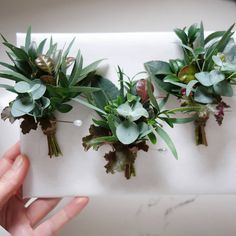 the flowers are being held by someone's hand on a piece of white paper